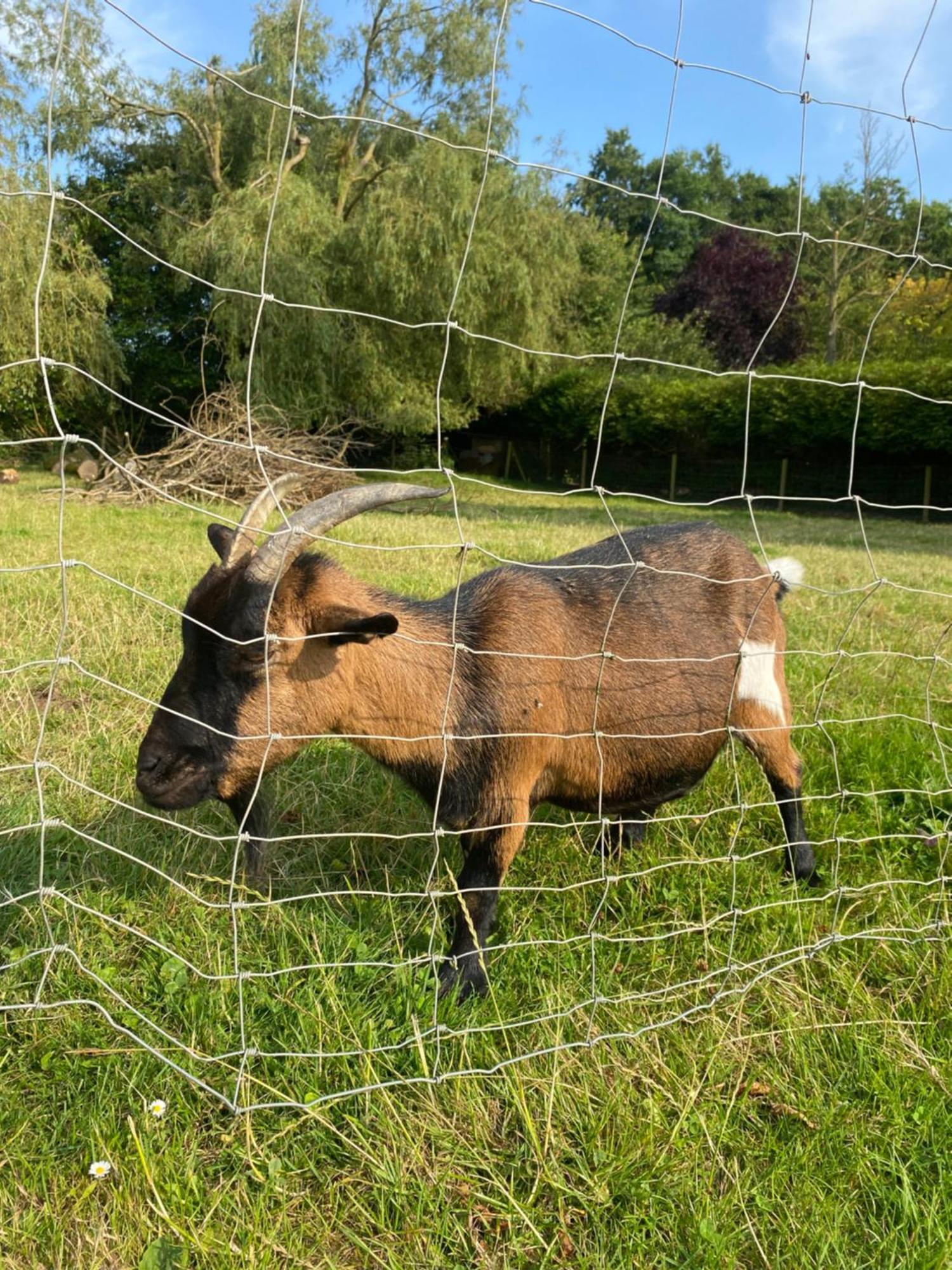 Maison De Campagne Beuzeville-la-Guerard エクステリア 写真